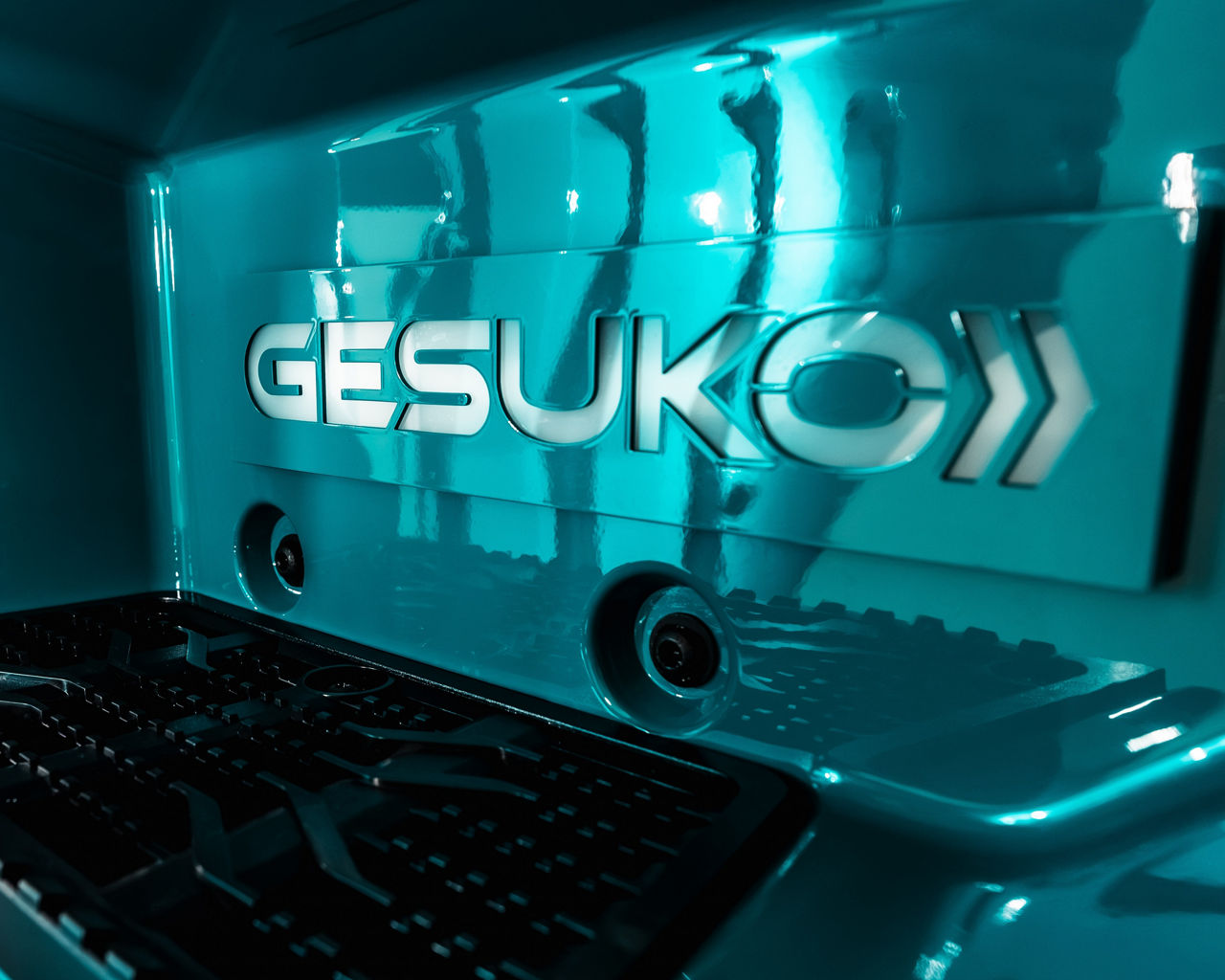 Gesuko_Detail_ (1).jpg